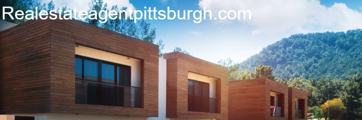 realestateagentpittsburgh.com